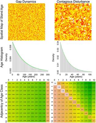 Scaling Contagious Disturbance: A Spatially-Implicit Dynamic Model